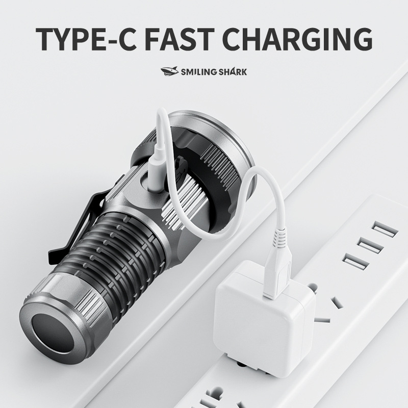 Small LED Flashlight USB C Rec - Edc Day Carry recensie en prijs